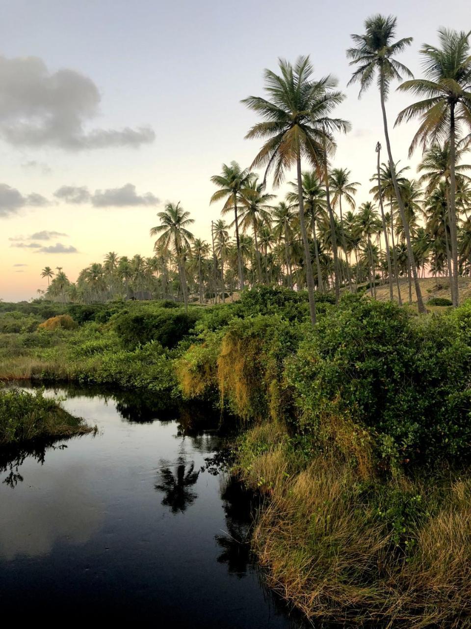 Lindo Village Imbassai Mata de São João Exterior foto